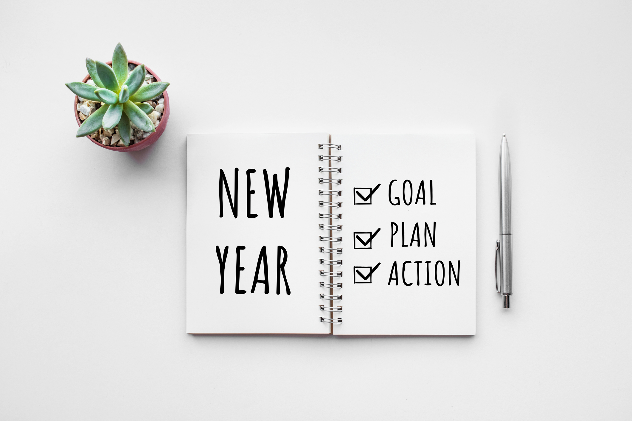A succulent sits next to a notebook open with goal, plan, action and New Year written on the page.
