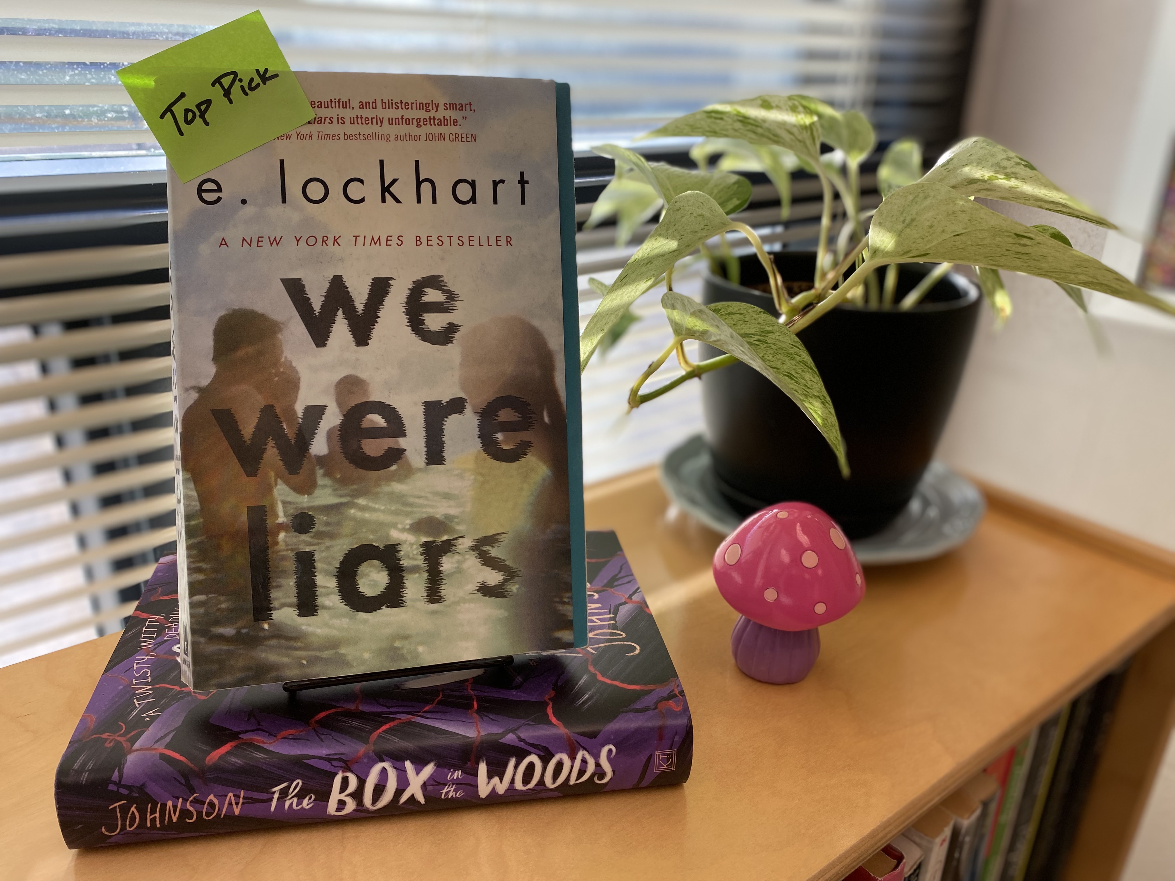 two books displayed near a window