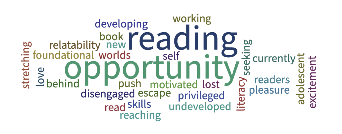 words related to adolescent literacy grouped together as a cloud