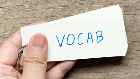 Hand holding a ring of cards with "VOCAB" written on the front of the first card