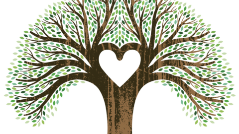 A tree growing out of the earth with a heart formed in the middle from branches!