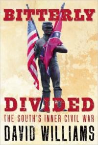 Bitterly Divided: The South's Inner Civil War