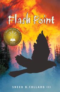Flash Point