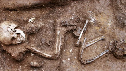 Child skeleton laying on its side in a fetal position within a dirt grave in Hanoi.