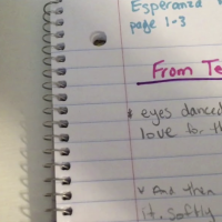 Picture of double entry journal next to a book