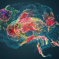 Brain with activity highlighted in color