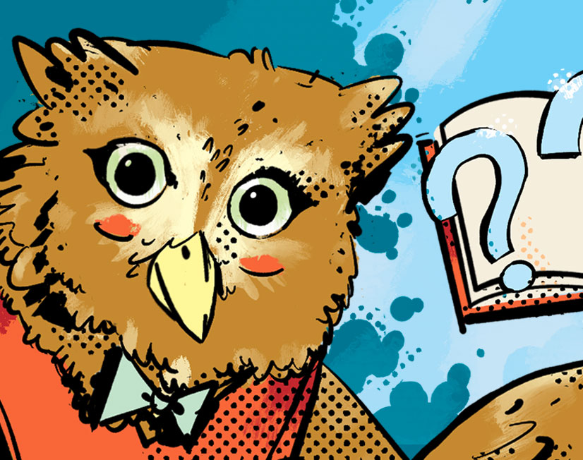 Owl asking a question